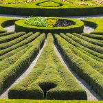 Księgowość w biznesie branży agro – na jakiej zasadzie zarządzać sprawozdawczość i podatki?